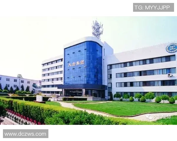 北京排球队的辉煌征程与突破时刻全景纪实